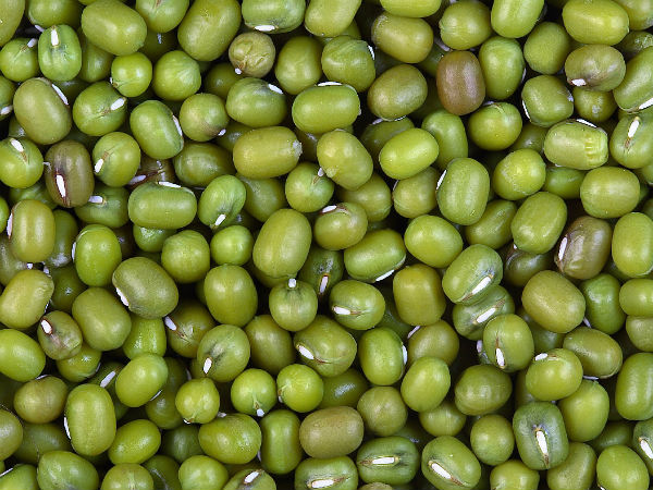 મગના પ્રસાદનું મહત્વ