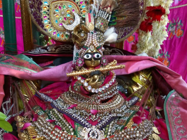 પ્રસિદ્ધ યાત્રાધામ ડાકોર ખાતે હિંડોળા દર્શનમાં ભક્તજનો ઉમટ્યા