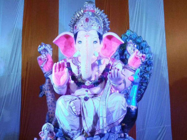 શ્યામલના મયૂરેશાય બન્યા આકર્ષણનું કેન્દ્ર