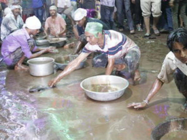 ગત વર્ષે 5 લાખ કિલો ઘી