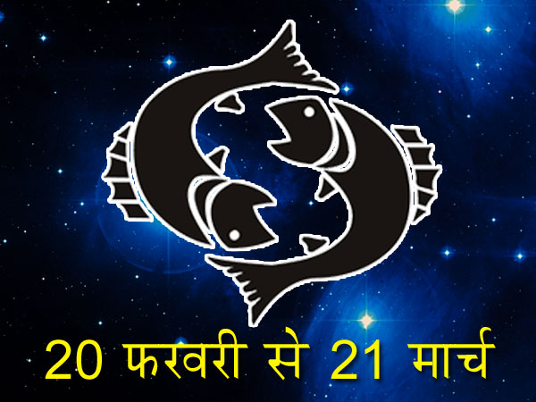 મીન