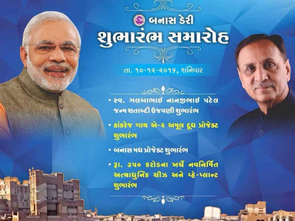 ચીઝ પ્લાન્ટ