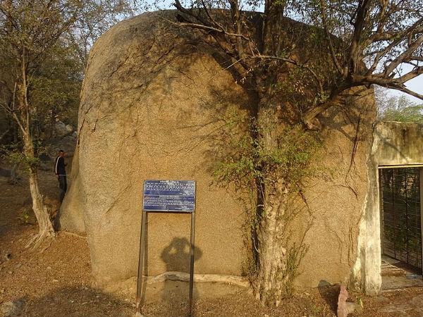 બીજકનો પહાડ