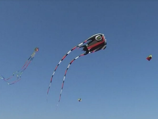 kite kite