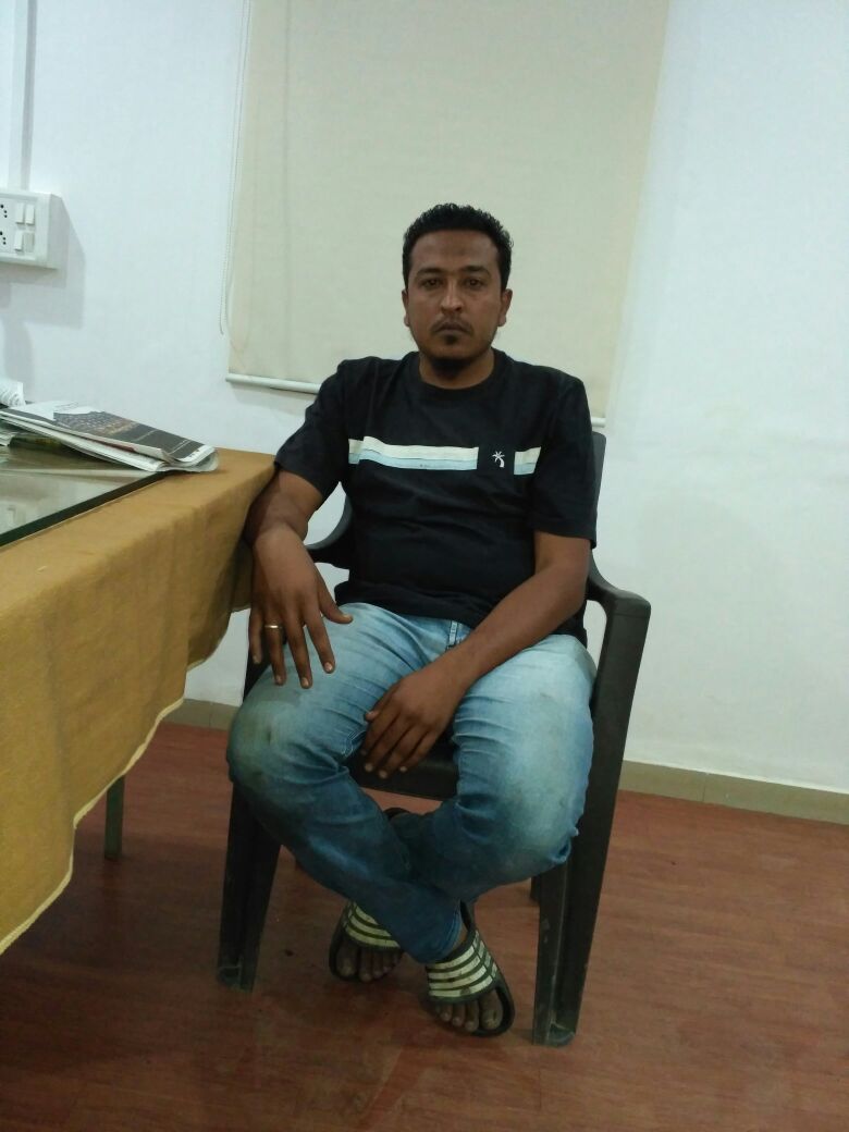 લોનલી વુલ્ફ