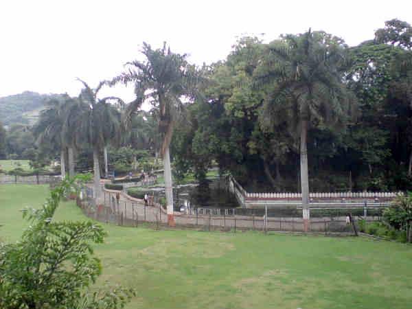 સારસ બાગ