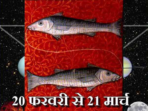 મીન
