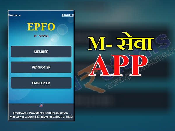 M-સેવા એપ