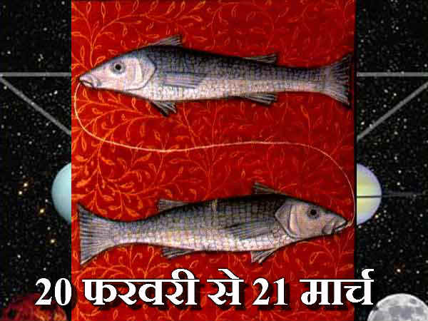 મીન