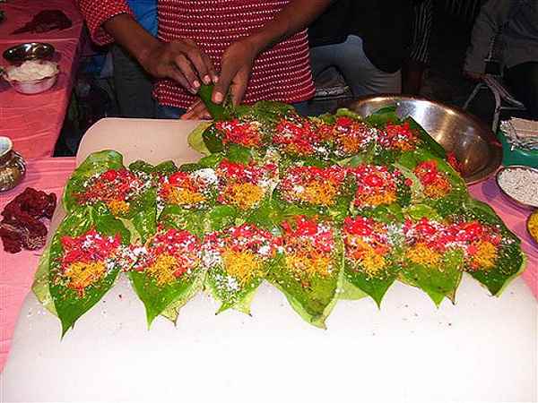 પાનનું વૈજ્ઞાનિક મહત્વ