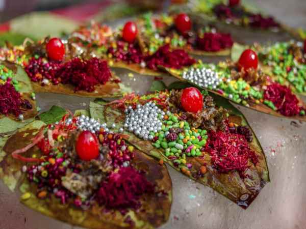 આરોગ્યની દ્રષ્ટિએ મહત્વ