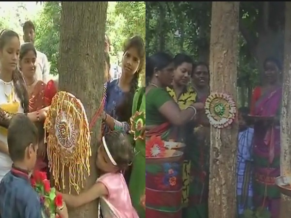 વૃક્ષોની રક્ષા માટે બાંધી રાખડી