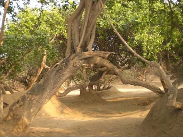 10 વર્ષ પહેલા