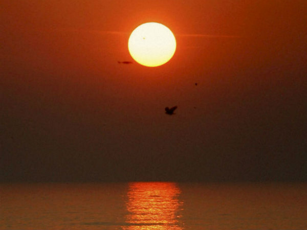 દરેક ઉપવાસ અને પૂજાનો આધાર સૂર્યચક્ર