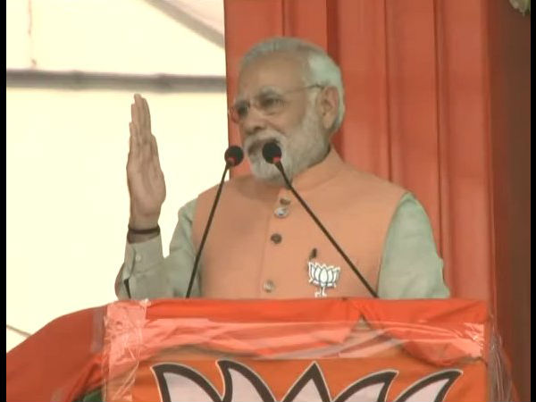 પંજો દેખાતો નથી!
