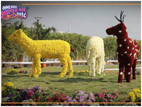 અમદાવાદ ફ્લાવર શો