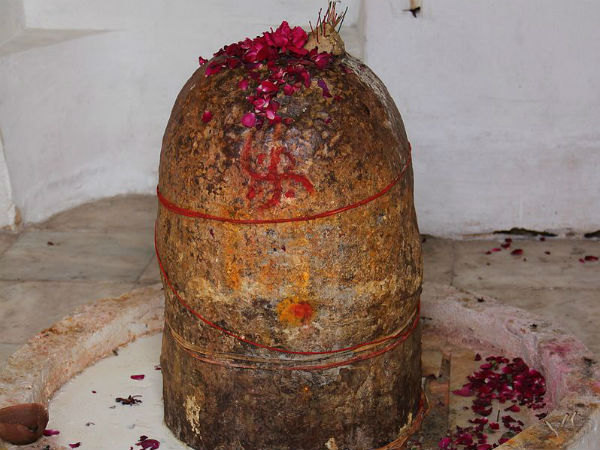 કોઈ રોગ તમારી નજીક નહિં આવે