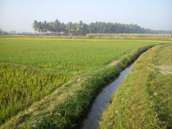 ખેડૂતોના કલ્યાણ માટે કટિબદ્ધ સરકાર