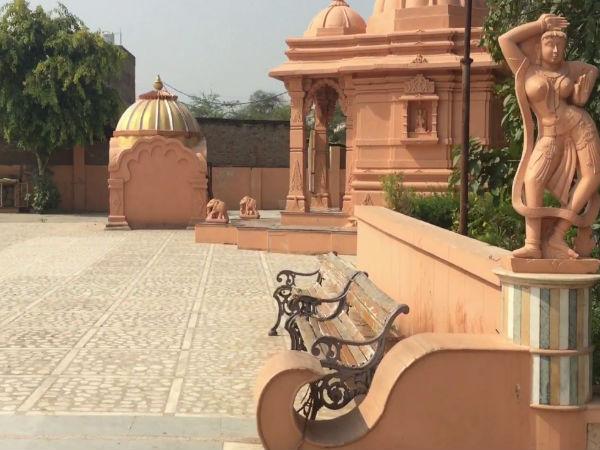 મહિલાનું શરીર બન્યું ફૂલ