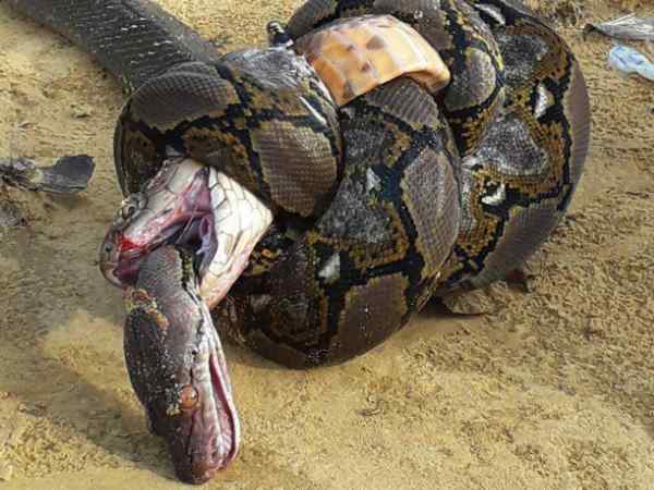 ખૂની લડાઈ અંજામ