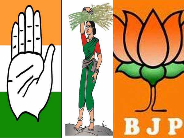 ક્રોસ વોટિંગમાં મહત્વની ભૂમિકા