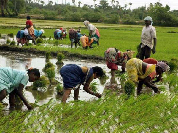 પીઓએસ વગર ખાતર વેચાણ નહી