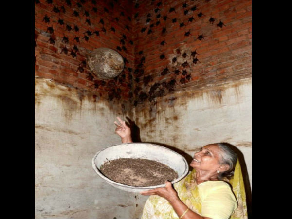 ચામાચિડિયાવાળાં બાથી ઓળખાય છે