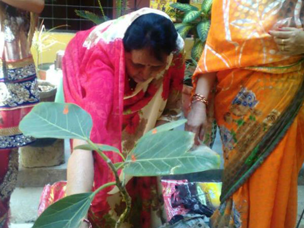 વડની પરિક્રમા