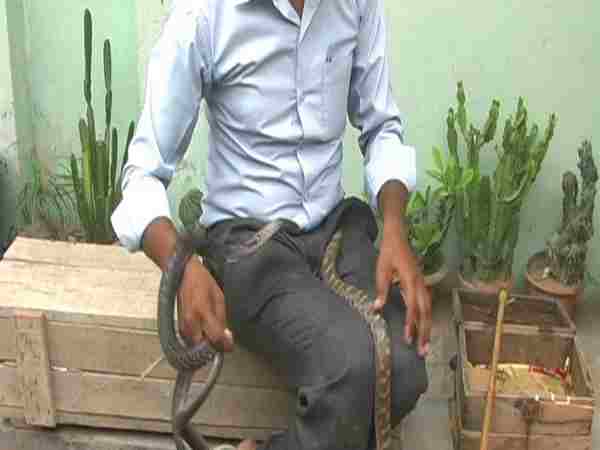 સાપો માટે શૈલેન્દ્ર બન્યા જીવનદાતા
