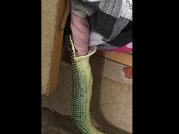 આ રીતે નાઇટી બહાર કાઢી