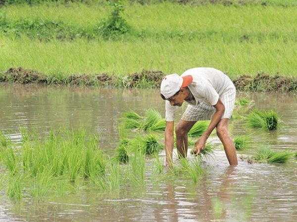 સરકારે 14 પાકોના ભાવ વધાર્યા