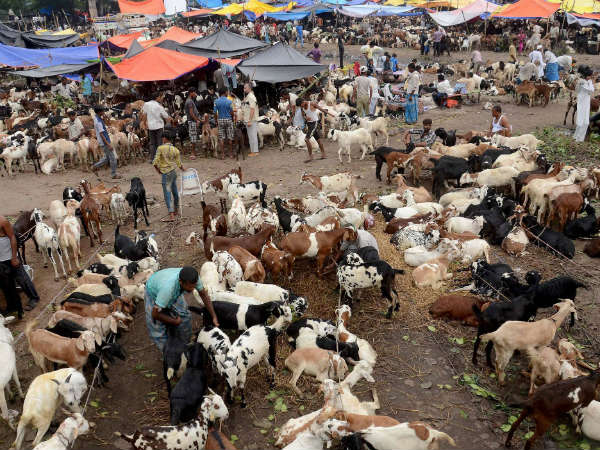 બકરીઇદની સૌથી મહત્વપૂર્ણ રીત