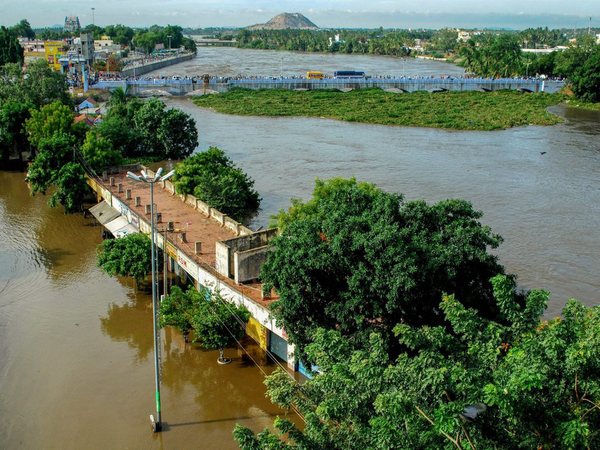 અમેરિકામાં નિયમ ઉલટો છે
