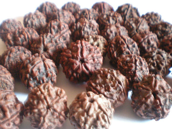 વિધિ