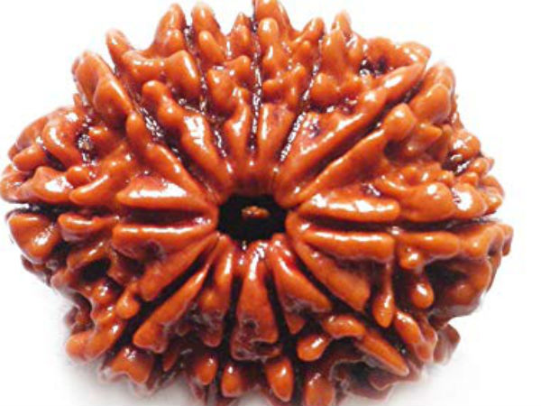 અગ્યાર મુખી રૂદ્રાક્ષના ફાયદા