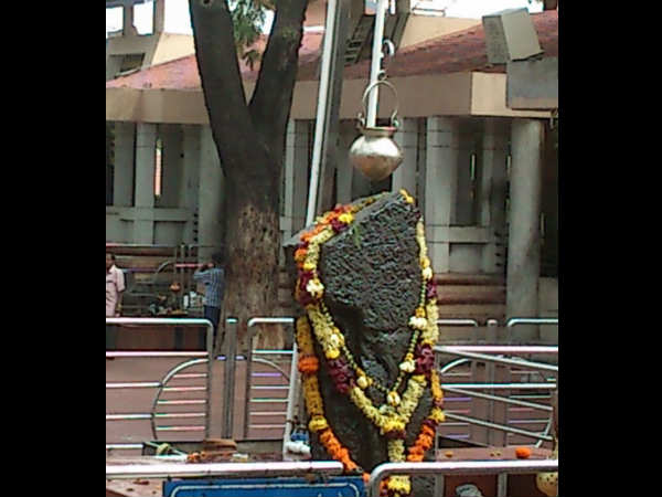 શનિના માર્ગી થવાથી આ પાંચ રાશિના જાતકોને થશે ખાસ લાભ
