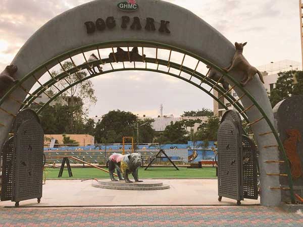 ડોગ પાર્ક