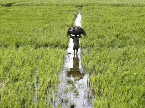 દેવાના ડુંગર તળે જીવતાં ખેડૂતોને ઠેંગો