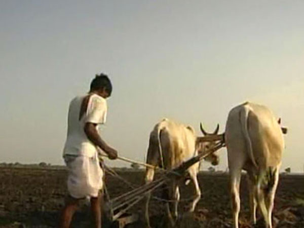 ગૌશાળા-પશુપાલકો માટે ખાસ વ્યવસ્થા કરાશે