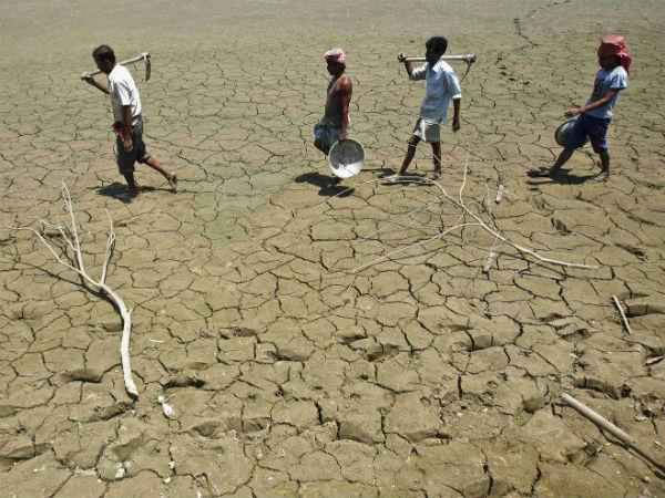 51 તાલુકાઓ અછતગ્રસ્ત જાહેર કરાયા