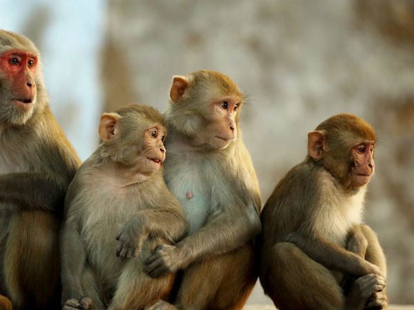 મહિલાઓનું ઘરમાંથી બહાર નીકળવું મુશ્કેલ