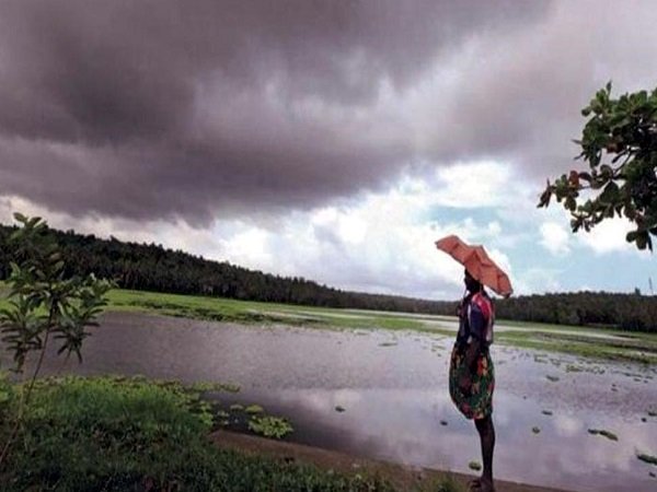 91 ટકા વરસાદ થયો