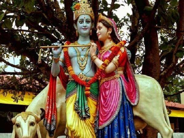 આરટીઆઈ દાખલ કરીને માંગ્યા જવાબ