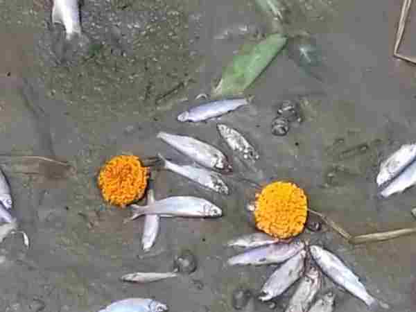 નદીઓની પરિયોજનાને સારી રીતે મોનિટર કરવામાં મદદ