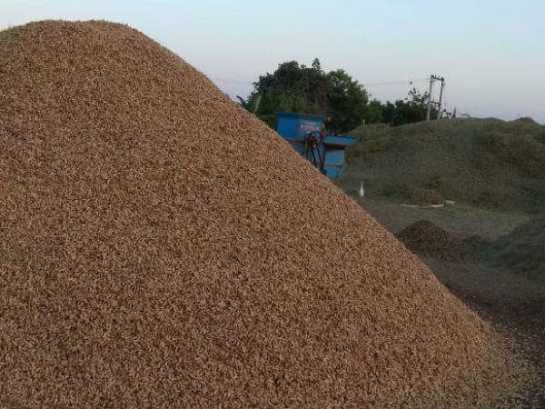 ખેડૂતોને ઓનલાઇન નોંધણીમાં પડી મુશ્કેલી