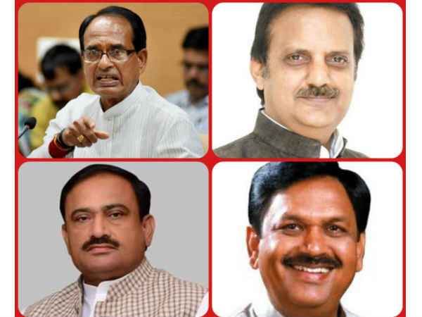 શિવરાજ સિંહ અને સાધના સિંહની કમાણી