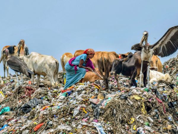 એનજીટીએ દિલ્લી સરકાર પર લગાવ્યો દંડ