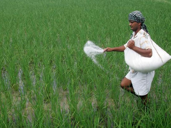 SBIમાં LPS અંતર્ગત કોણ કરી શકે છે અરજી