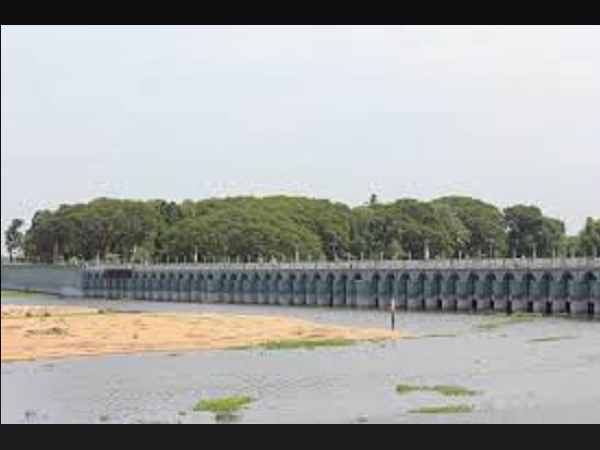ગુજરાતમાં દરિયામાં ખેતી થવા લાગી