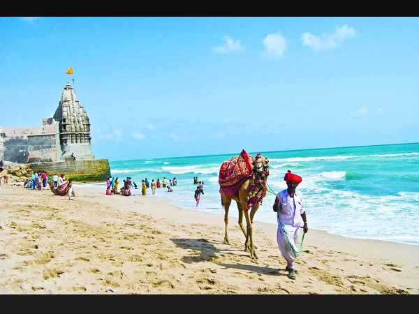ફળ અને શાકભાજીની પણ દરિયામાં ઉગાડશે